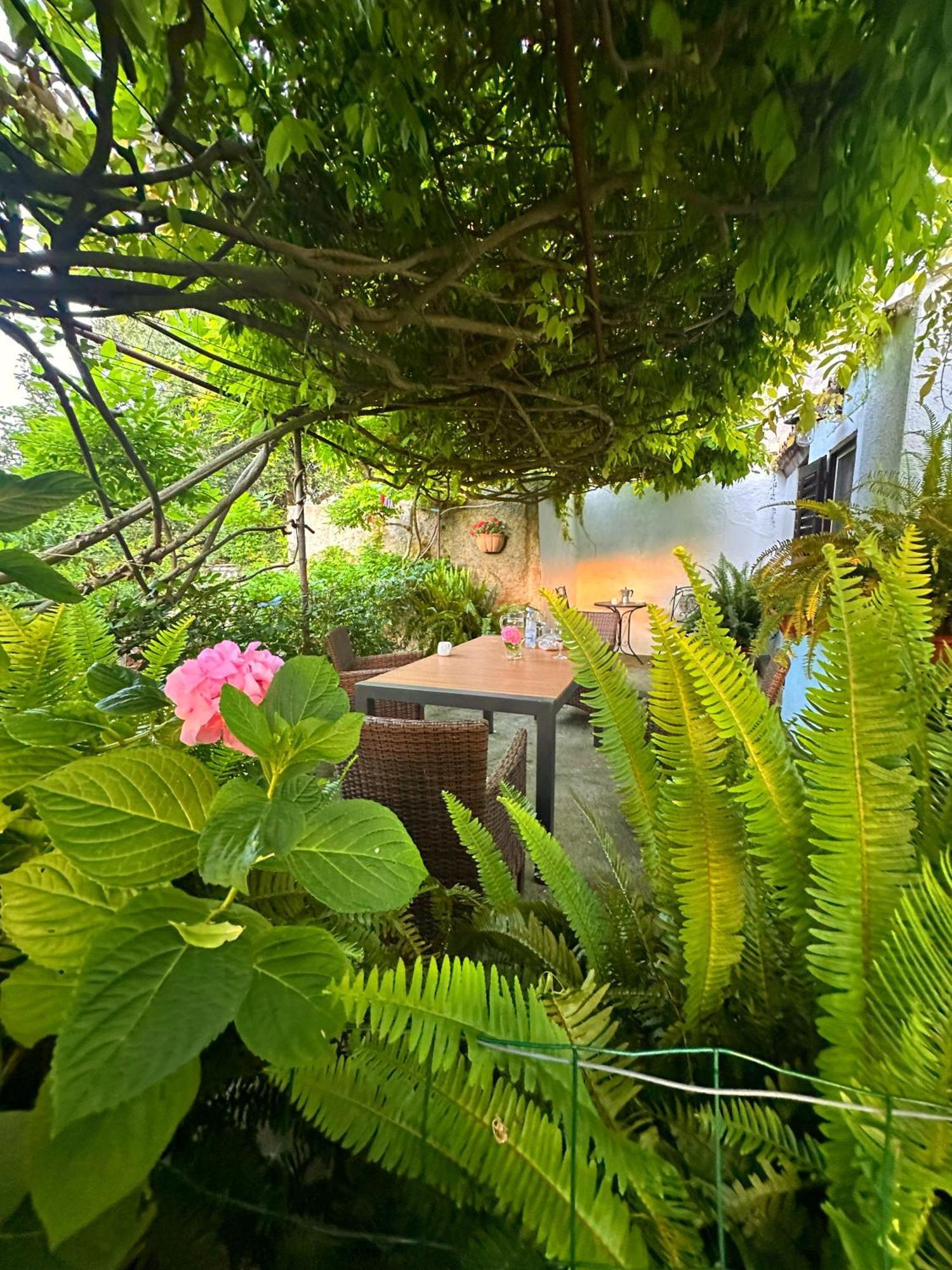 Apartment Renata เวลิโลชิน ภายนอก รูปภาพ